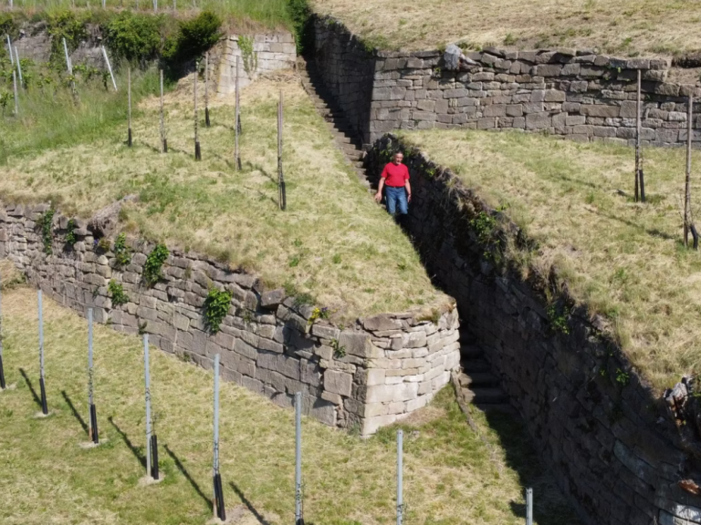 Achim Mayer beim Weinbau auf dem Klosterberg in Maulbronn